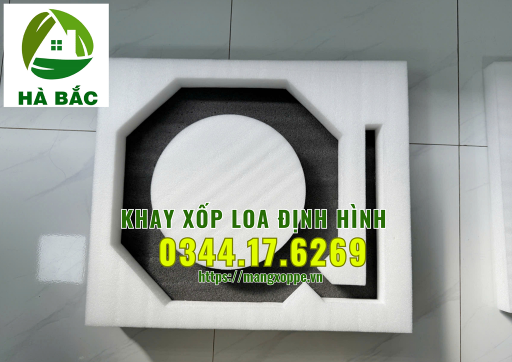 khay-xop-loa-dinh-hinh