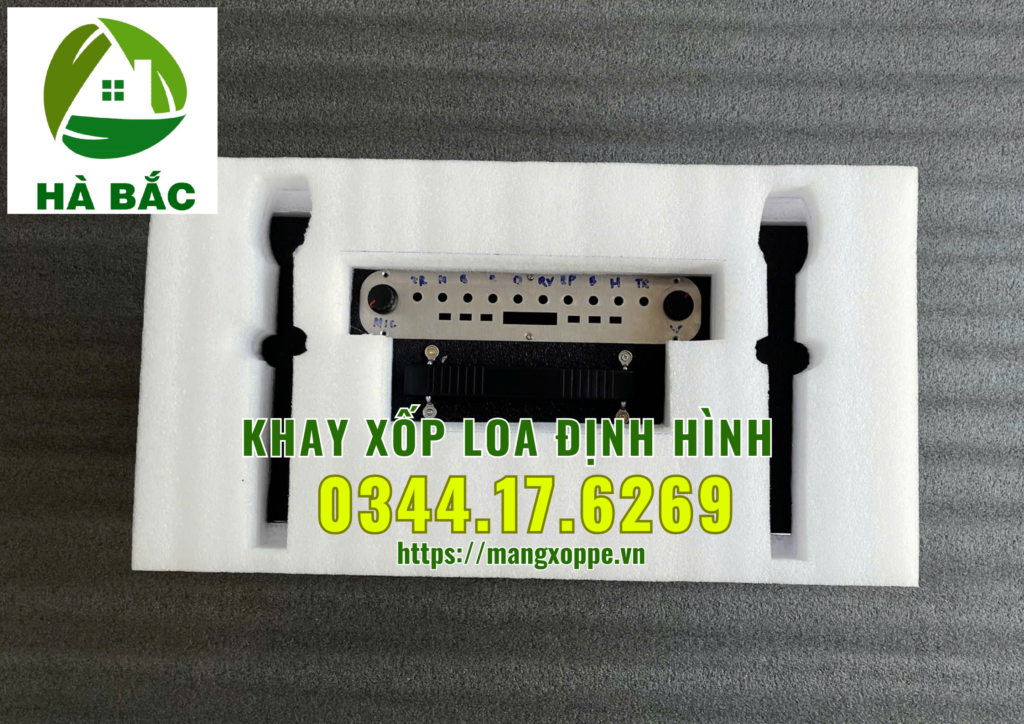 khay-xop-loa-dinh-hinh