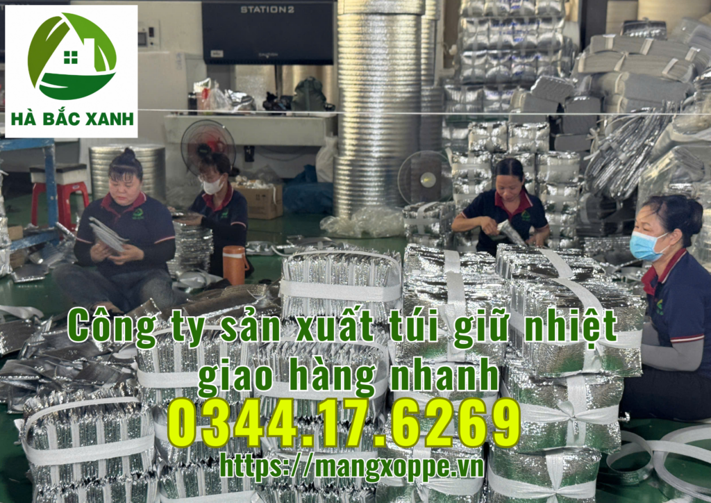 tui-giu-nhiet-giao-hang-nhanh