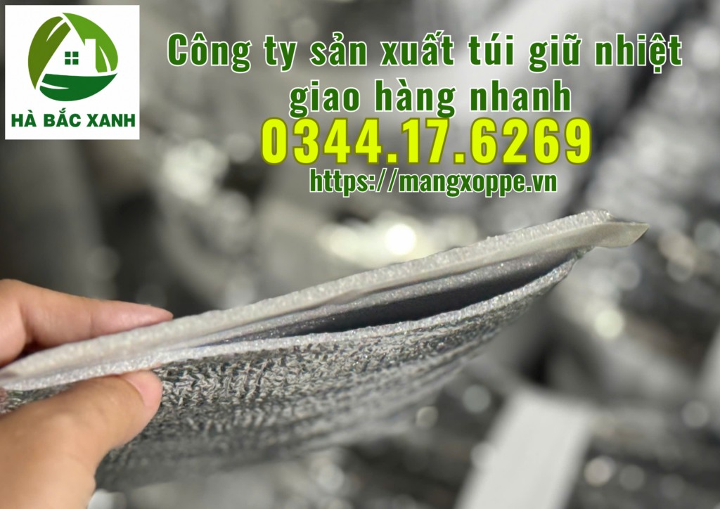 tui-giu-nhiet-giao-hang-nhanh