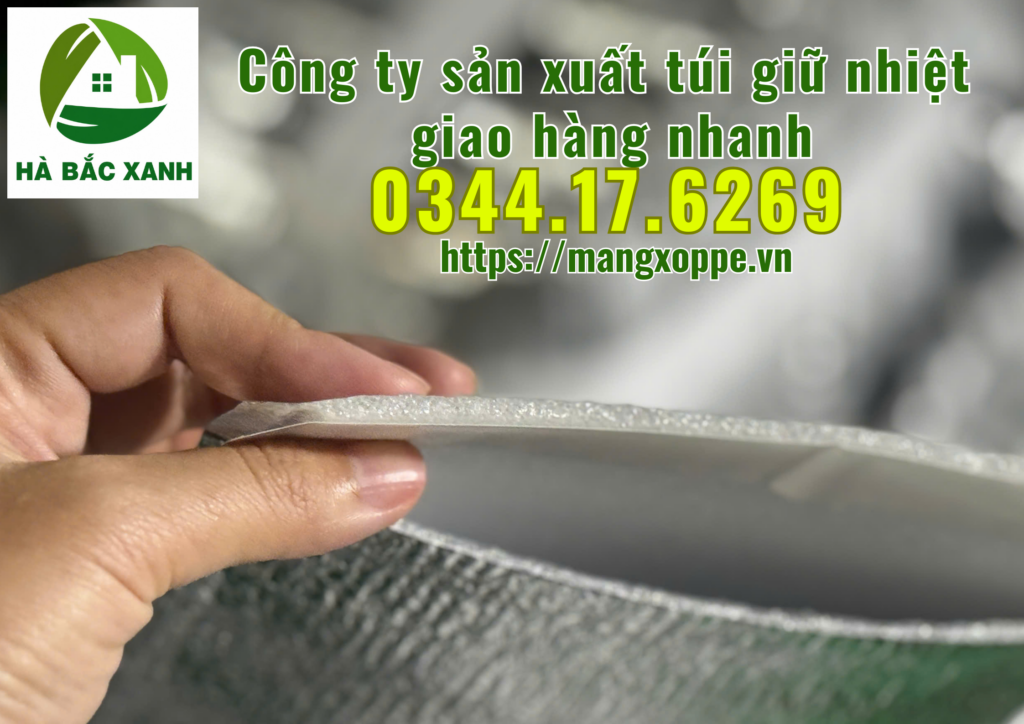 tui-giu-nhiet-giao-hang-nhanh