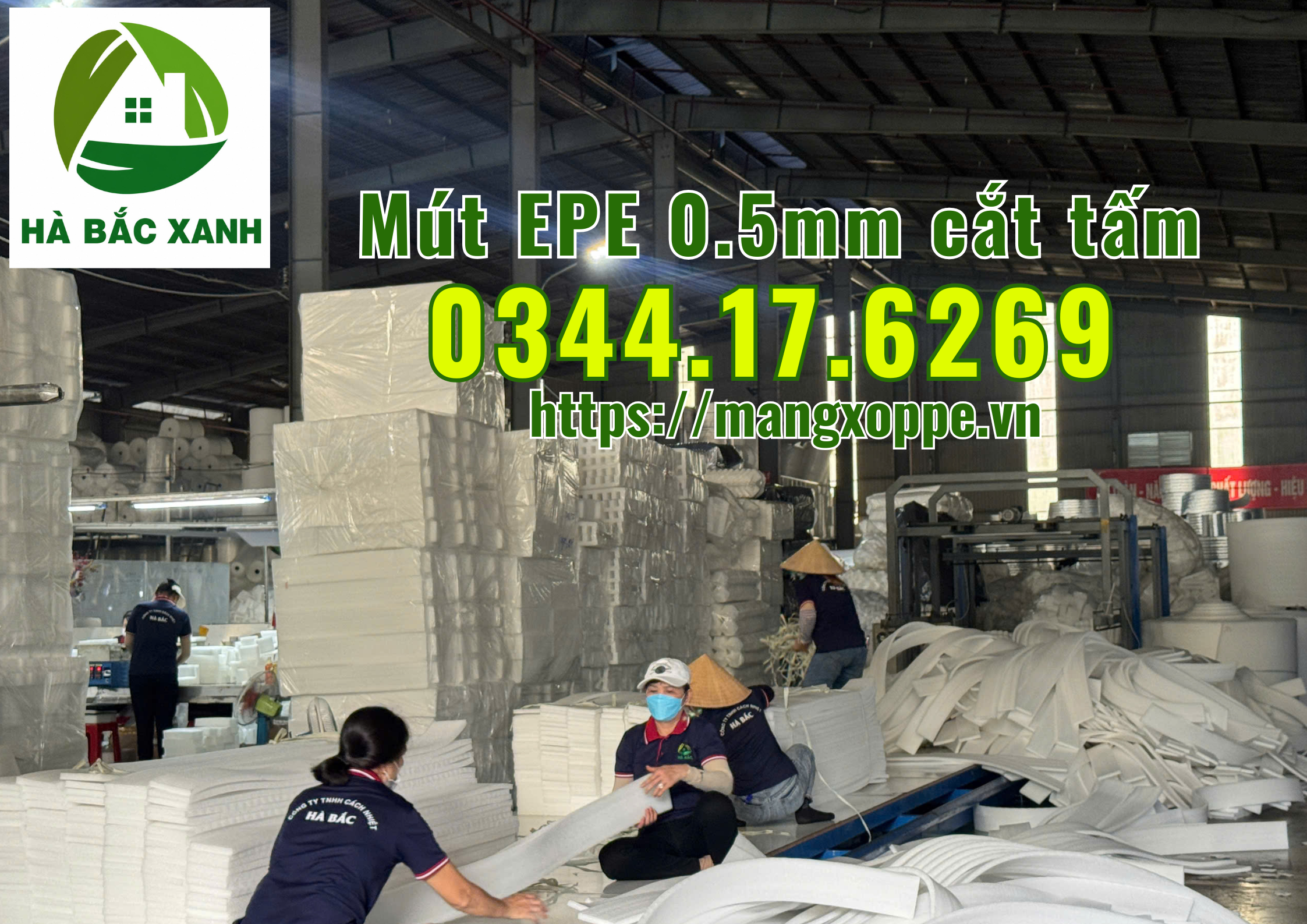 mut-epe-0.5mm-cat-tam