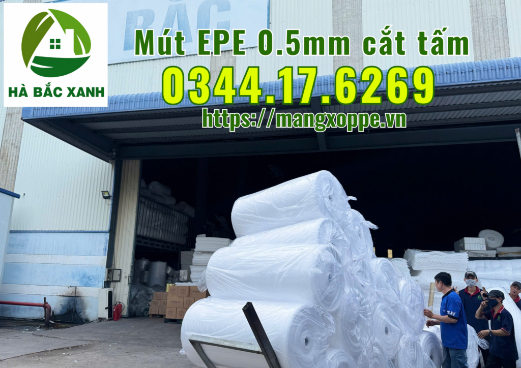 mut-epe-0.5mm-cat-tam mut-epe-0.5mm-cat-tam