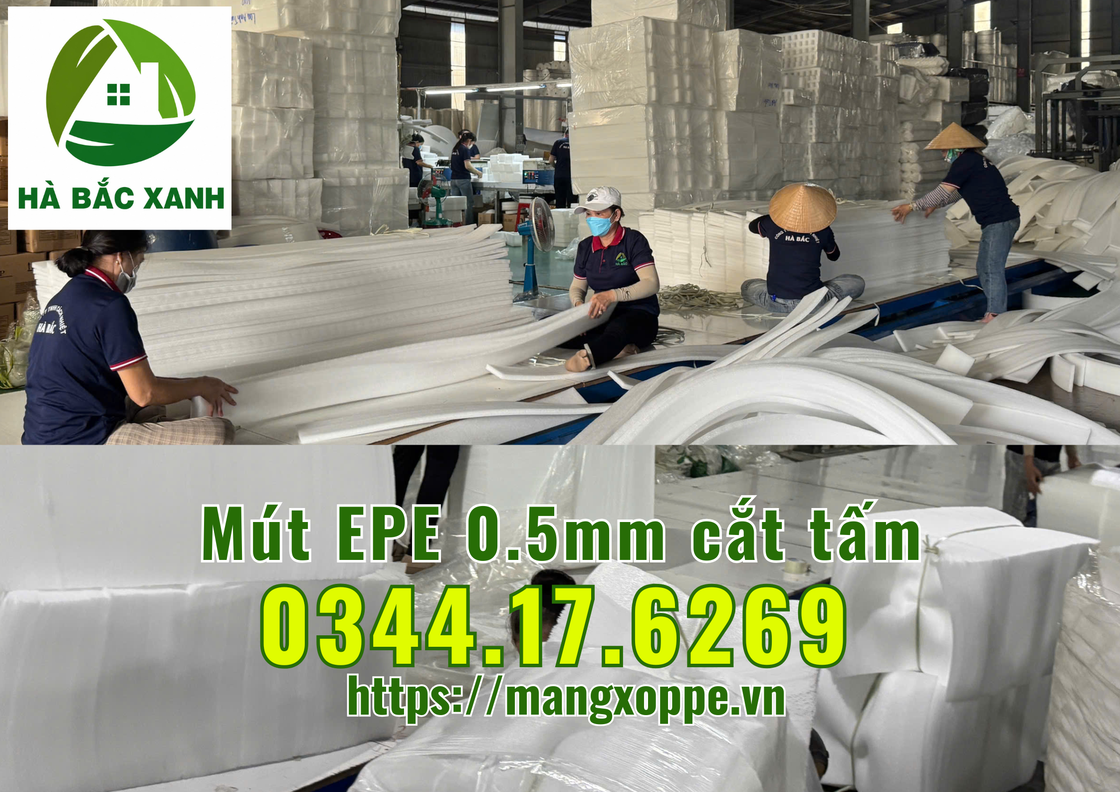 mut-epe-0.5mm-cat-tam