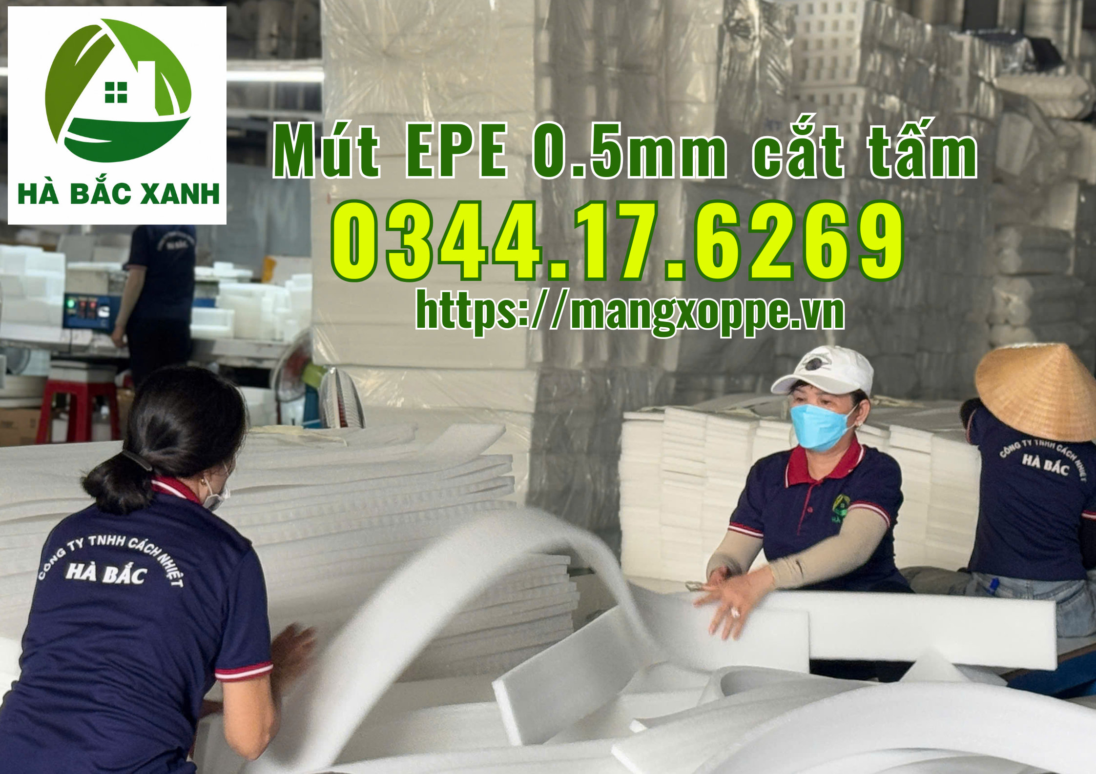 mut-epe-0.5mm-cat-tam