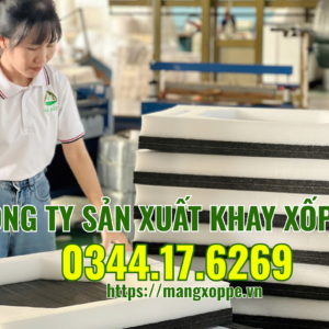 khay-xop-dinh-hinh-epe
