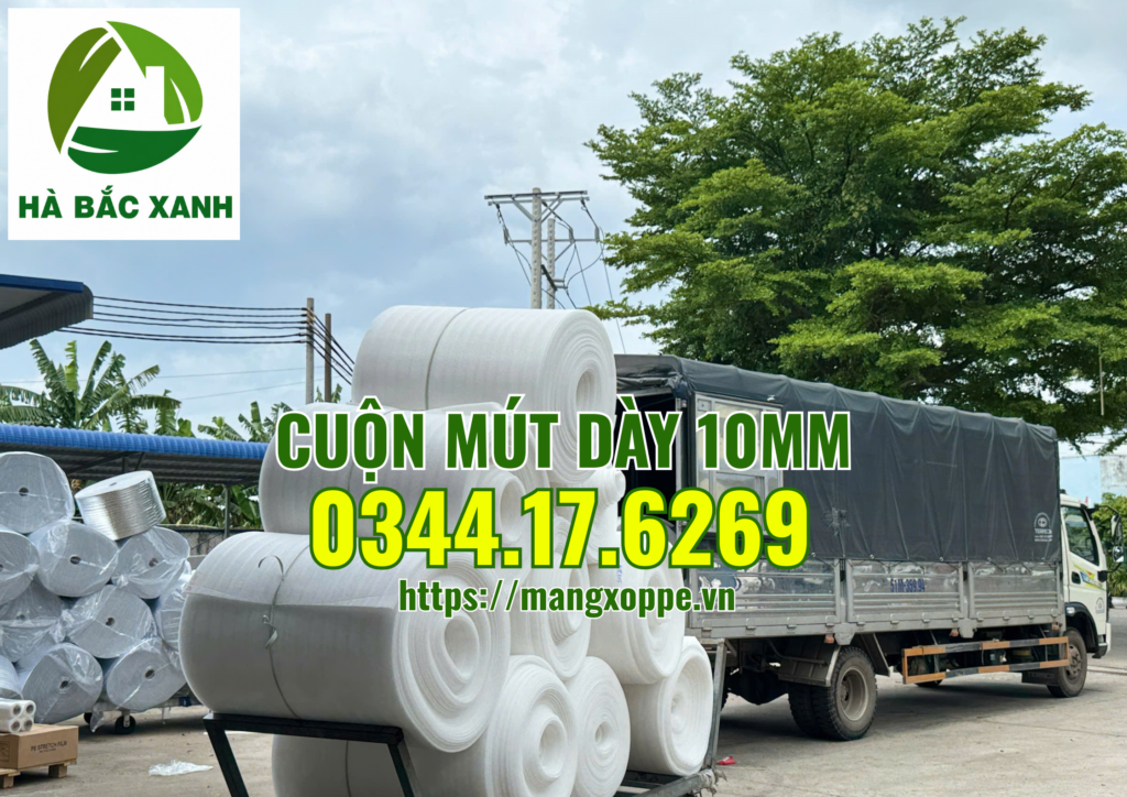 cuon-mut-day-10mm