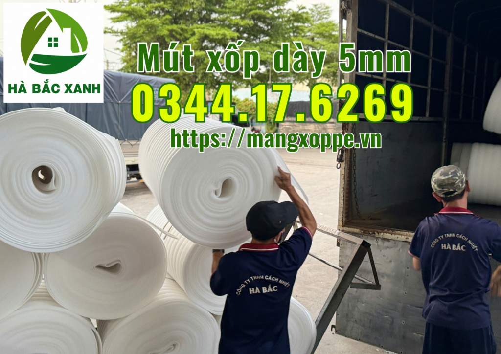 mut-xop-day-5mm mut-xop-day-5mm