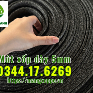 mut-xop-day-5mm