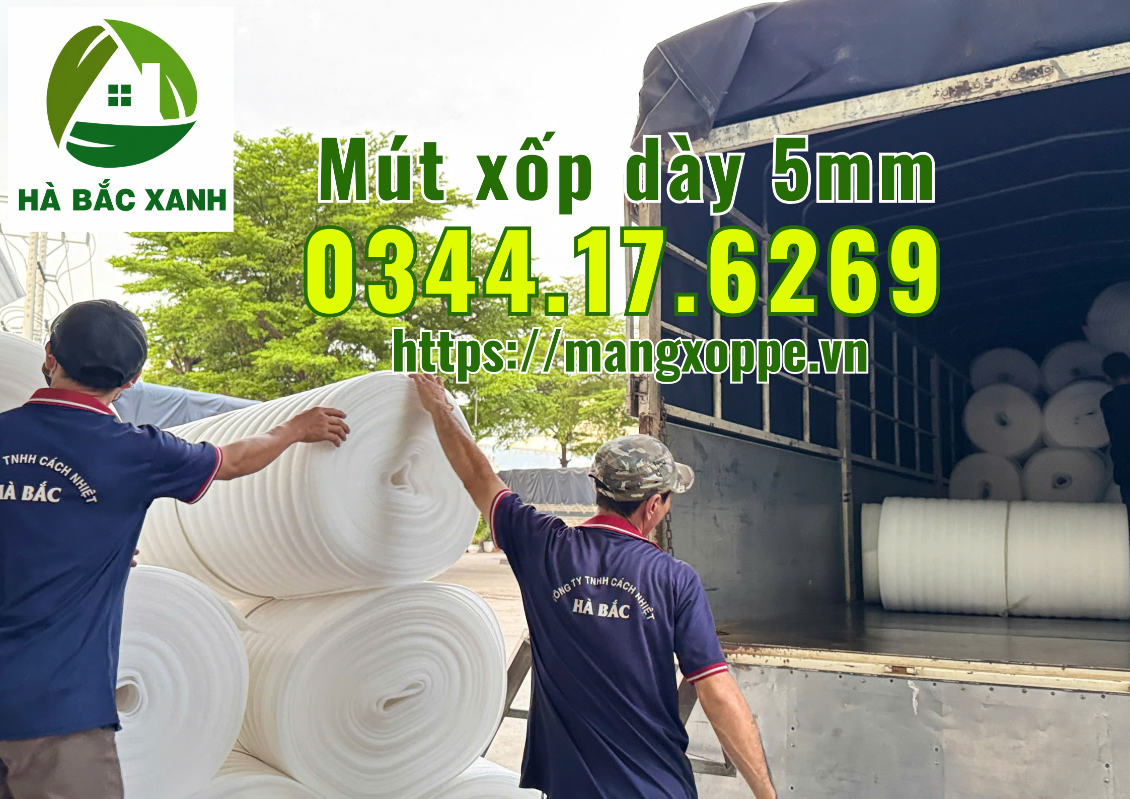 mut-xop-day-5mm