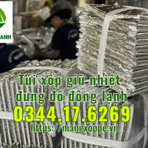 tui-xop-giu-nhiet-dung-do-dong-lanh