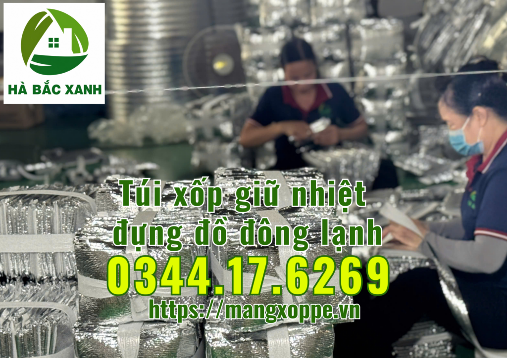 tui-xop-giu-nhiet-dung-do-dong-lanh tui-xop-giu-nhiet-dung-do-dong-lanh