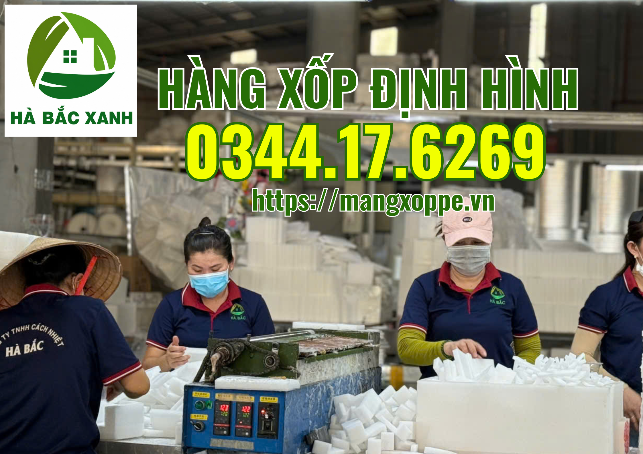 hang-xop-dinh-hinh