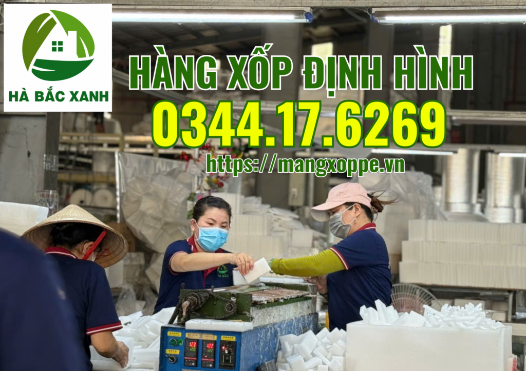 hang-xop-dinh-hinh hang-xop-dinh-hinh