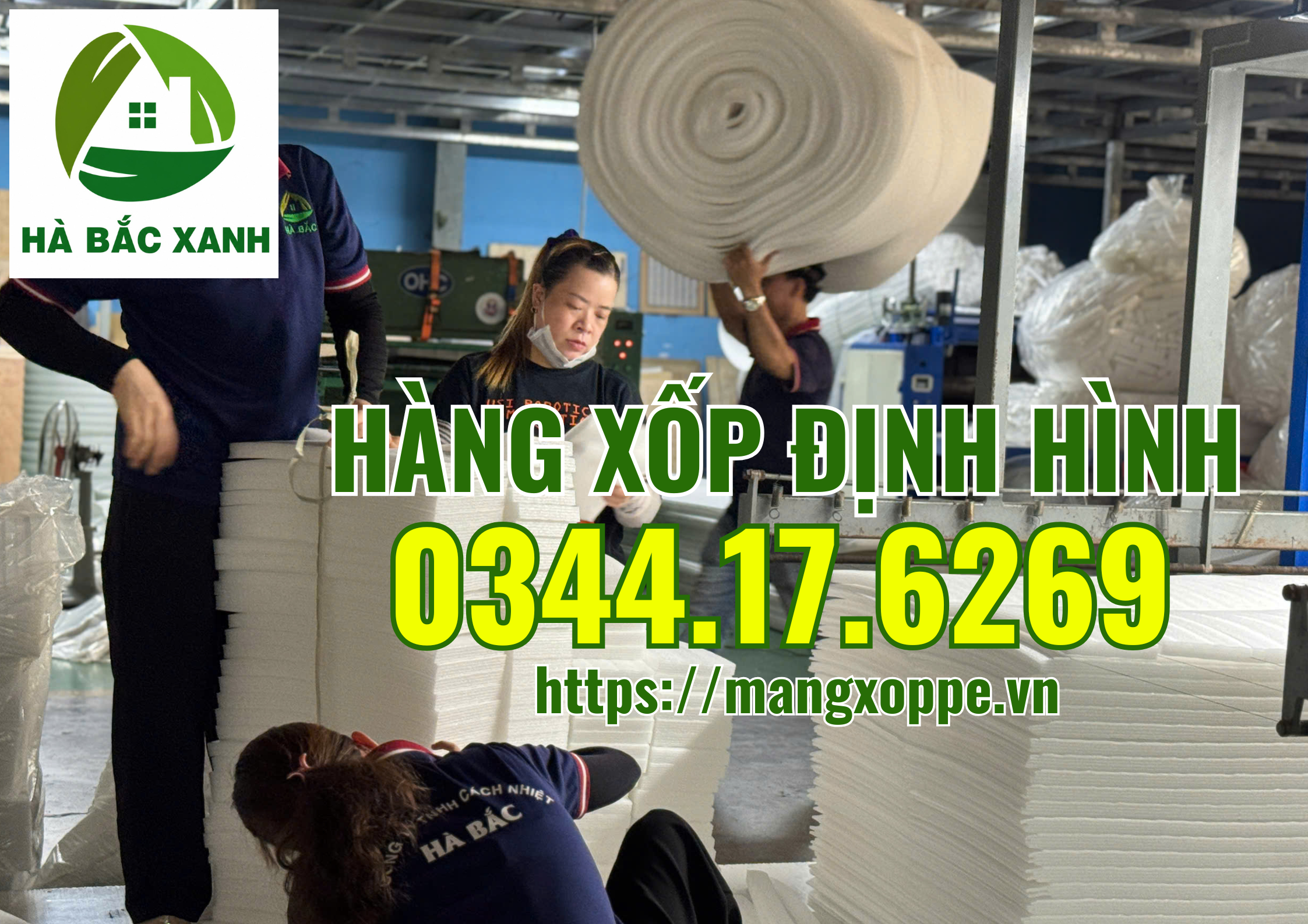 hang-xop-dinh-hinh