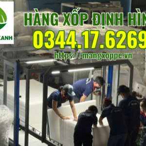 hang-xop-dinh-hinh