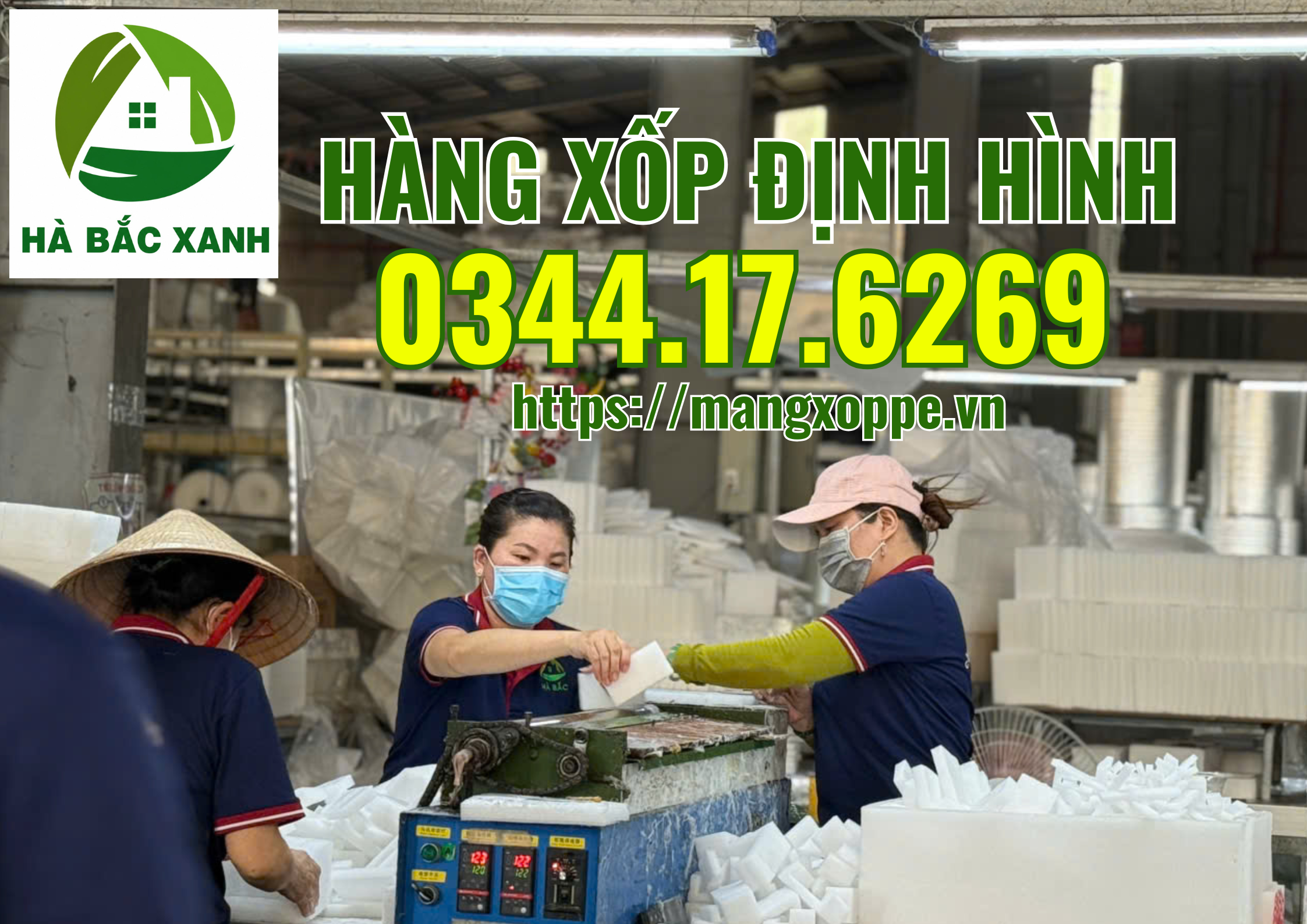 hang-xop-dinh-hinh