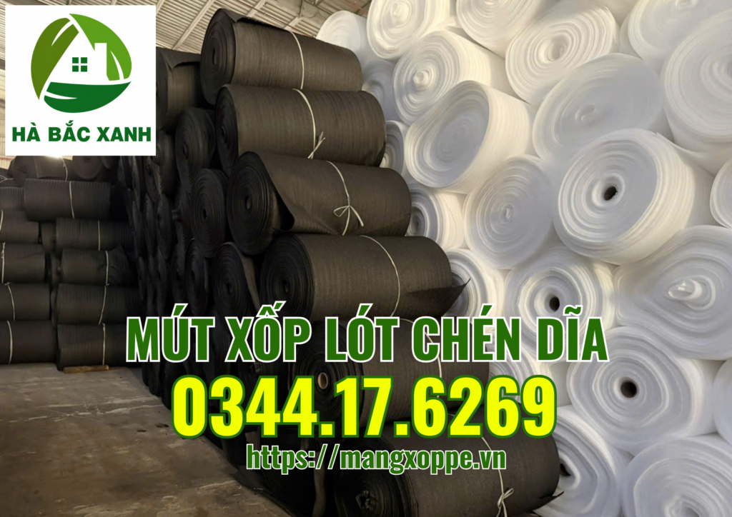 mut-xop-lot-chen-dia mut-xop-lot-chen-dia