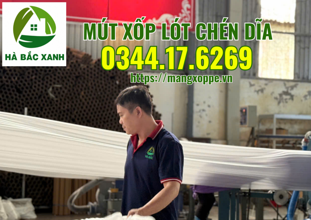 mut-xop-lot-chen-dia mut-xop-lot-chen-dia