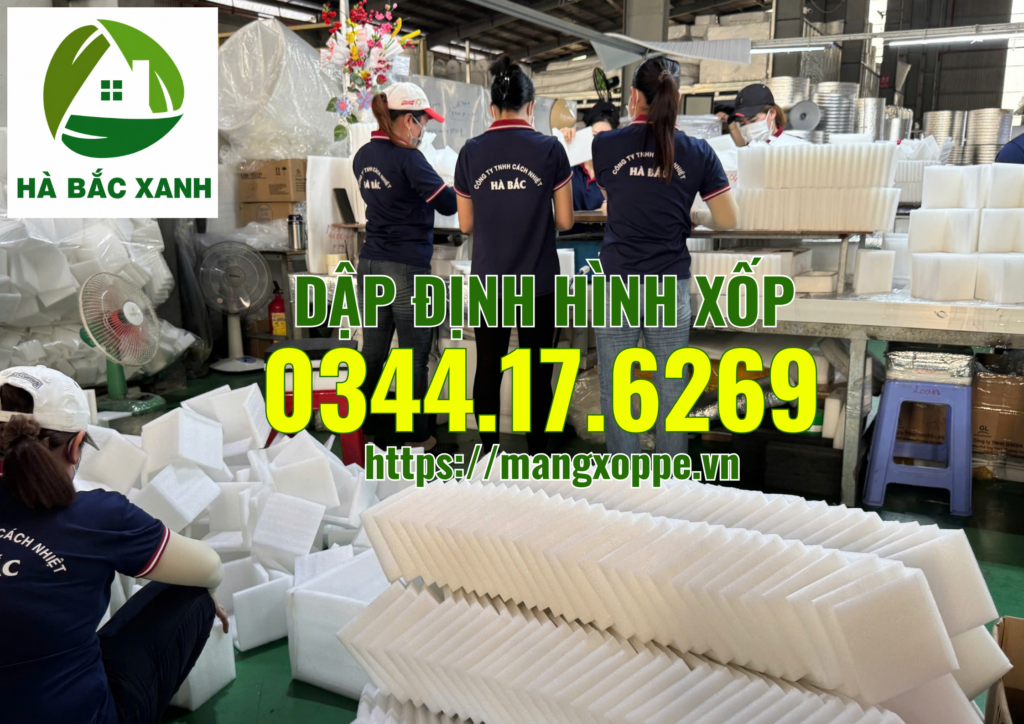 dap-dinh-hinh-xop