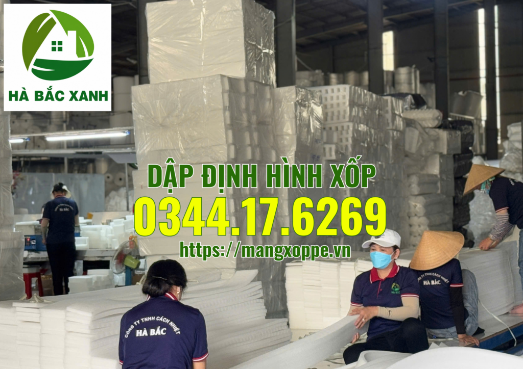 dap-dinh-hinh-xop