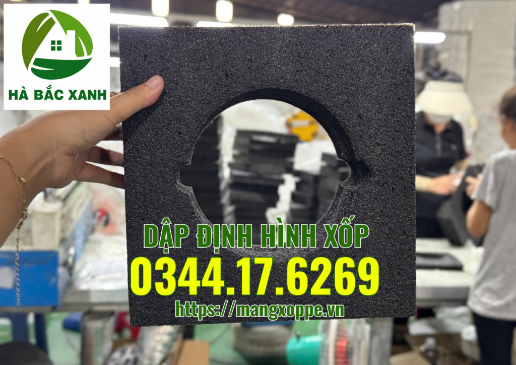 dap-dinh-hinh-xop