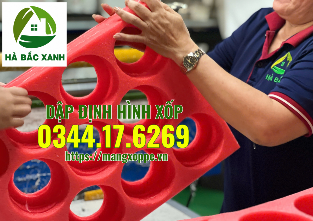 dap-dinh-hinh-xop
