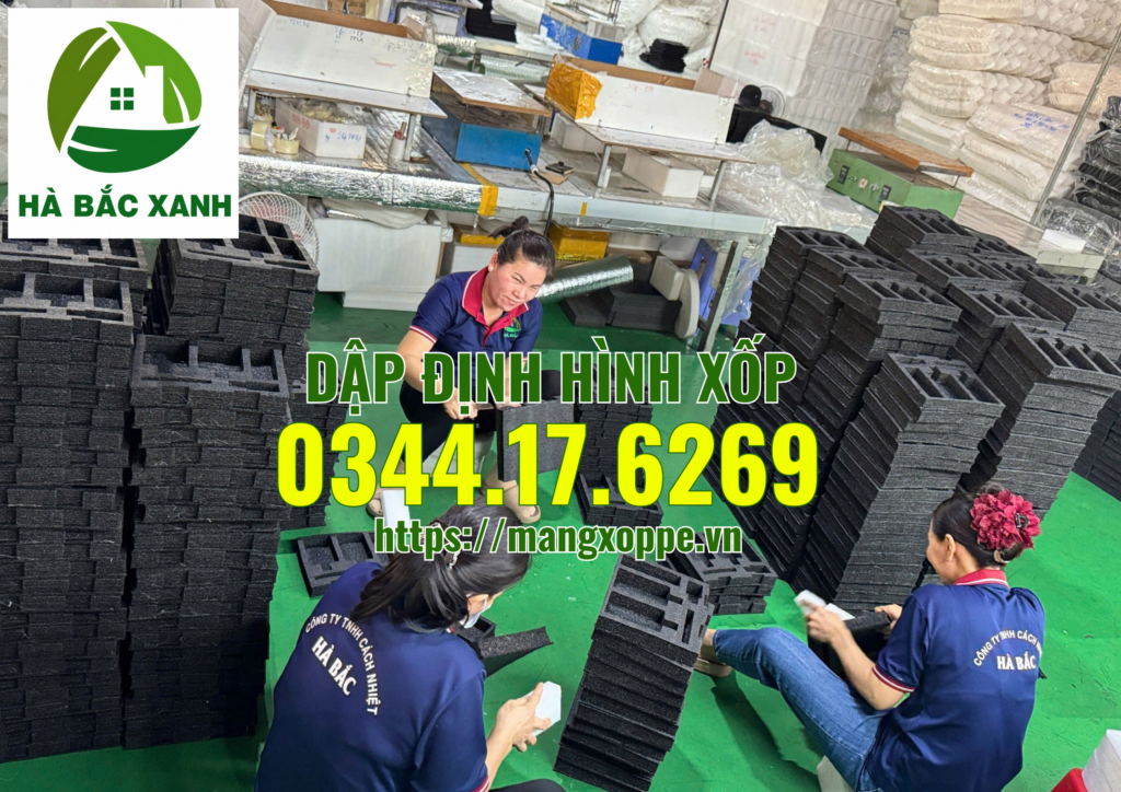 dap-dinh-hinh-xop