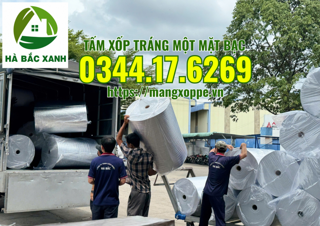 tam-xop-trang-mot-mat-bac