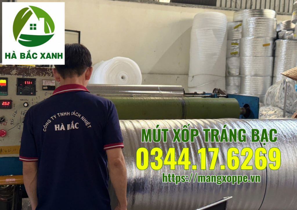 mut-xop-trang-bac