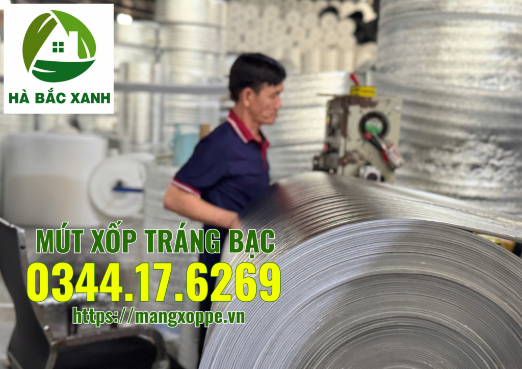 mut-xop-trang-bac