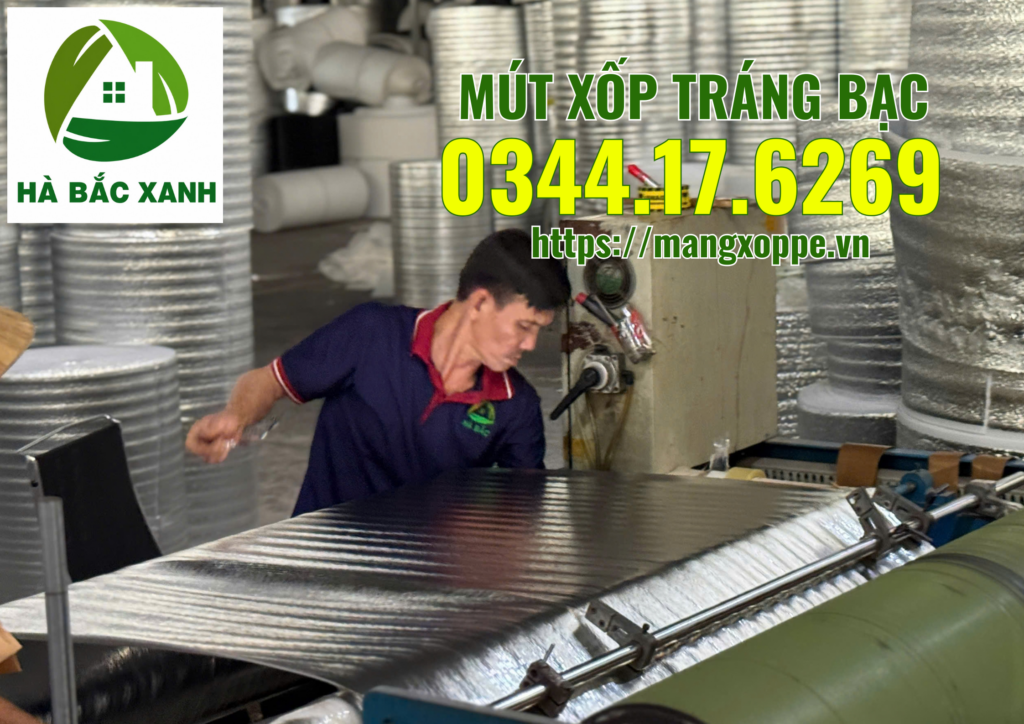 mut-xop-trang-bac