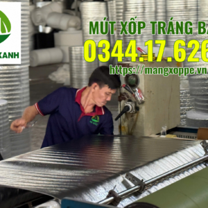 mut-xop-trang-bac