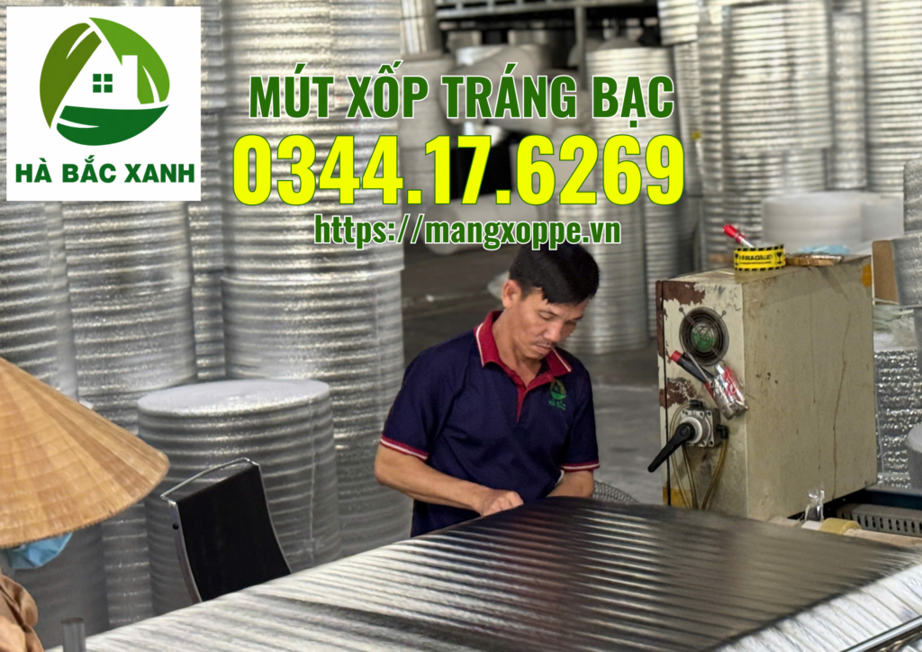 mut-xop-trang-bac