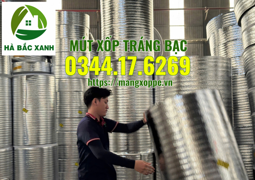 mut-xop-trang-bac