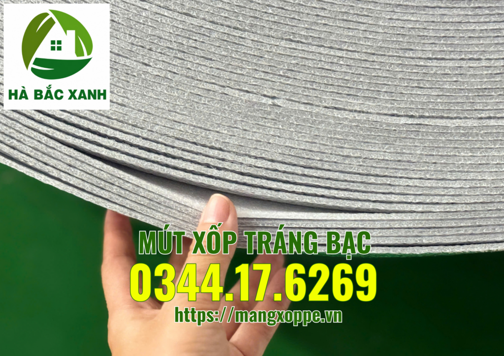 mut-xop-trang-bac