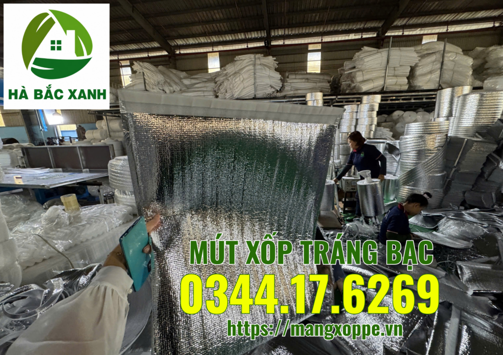mut-xop-trang-bac