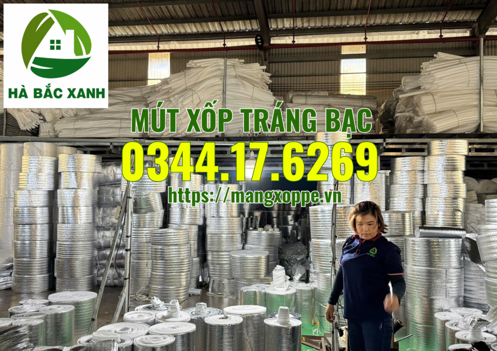 mut-xop-trang-bac