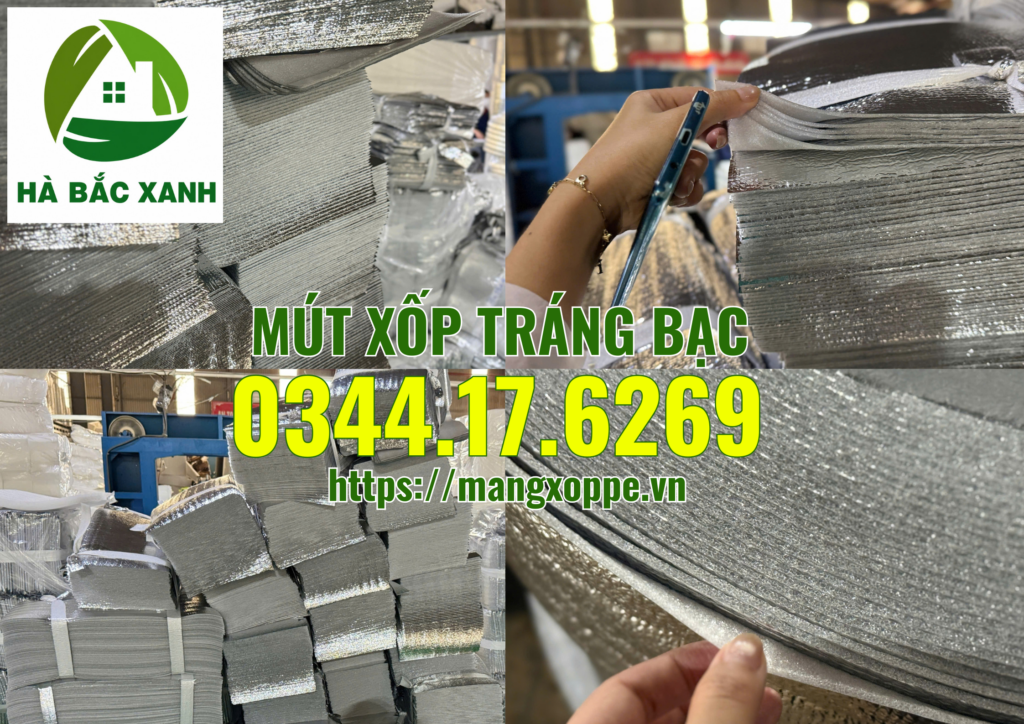 mut-xop-trang-bac