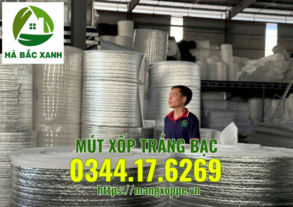 mut-xop-trang-bac