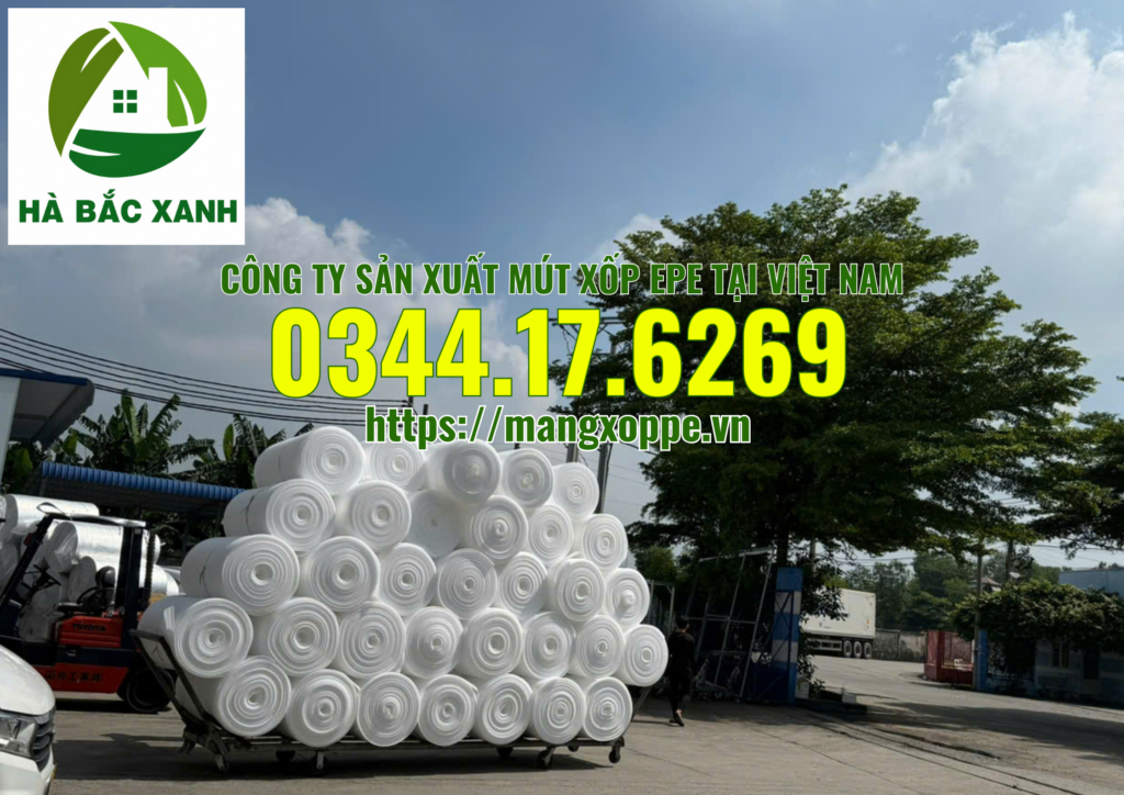 cong-ty-san-xuat-mut-xop-epe-foam cong-ty-san-xuat-mut-xop-epe-foam