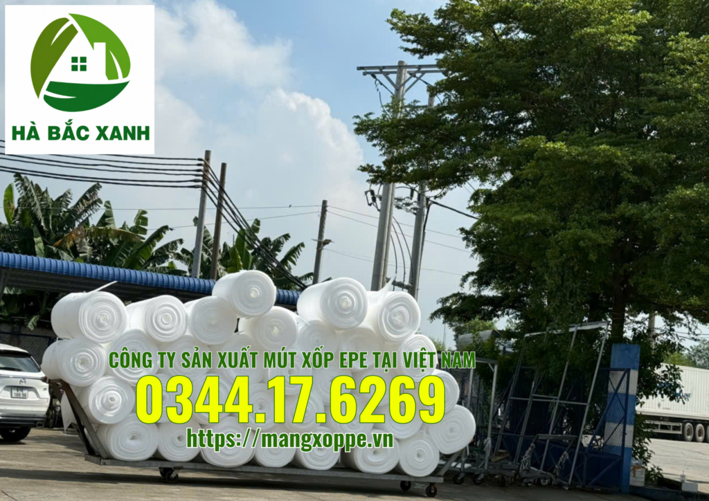 cong-ty-san-xuat-mut-xop-epe-foam cong-ty-san-xuat-mut-xop-epe-foam