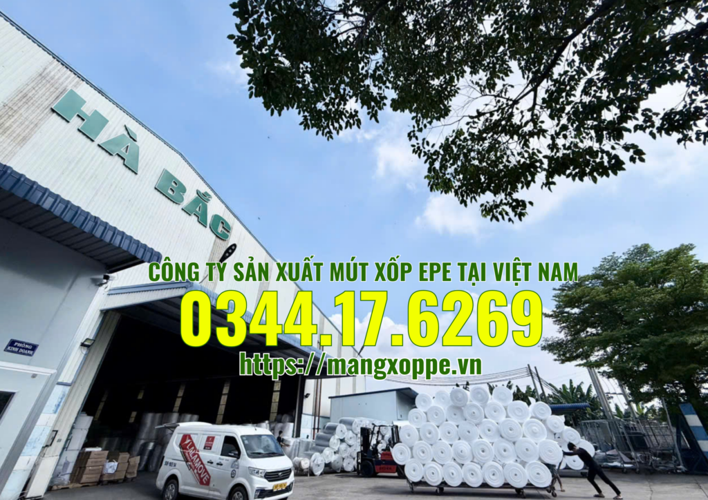cong-ty-san-xuat-mut-xop-epe-foam cong-ty-san-xuat-mut-xop-epe-foam
