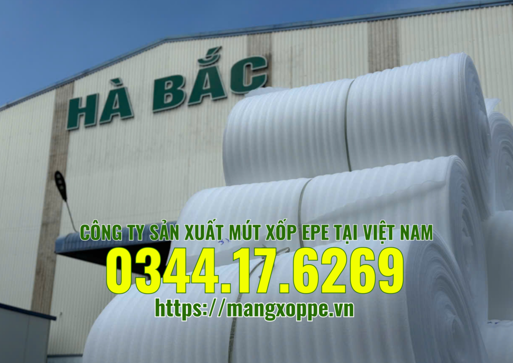 cong-ty-san-xuat-mut-xop-epe-foam cong-ty-san-xuat-mut-xop-epe-foam